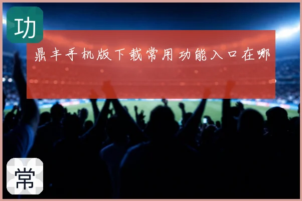 鼎丰手机版下载常用功能入口在哪