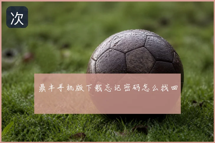 鼎丰手机版下载忘记密码怎么找回