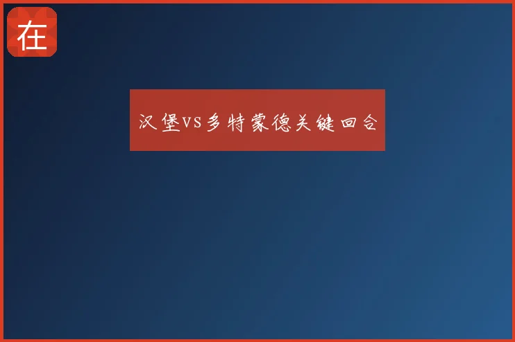 汉堡vs多特蒙德关键回合
